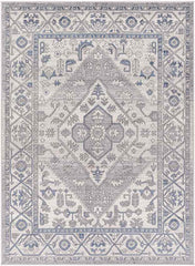 Franisco Traditional Light Gray/Cobalt Area Rug
