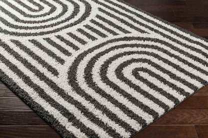 Toshiba Modern Ivory/Black Area Rug