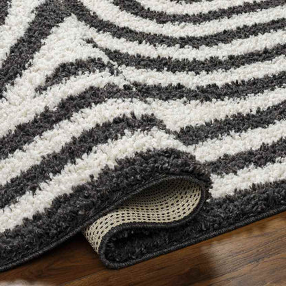 Toshiba Modern Ivory/Black Area Rug