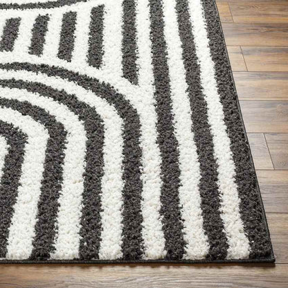 Toshiba Modern Ivory/Black Area Rug