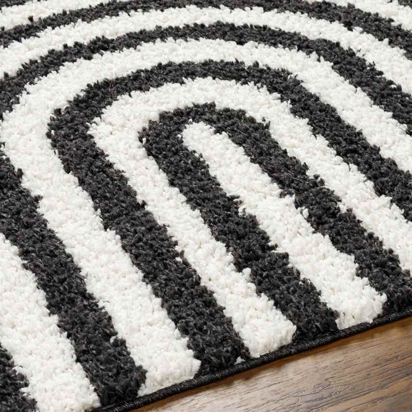 Toshiba Modern Ivory/Black Area Rug