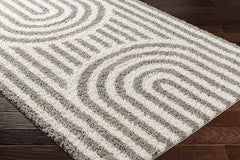 Toshiba Modern Ivory/Dark Brown Area Rug