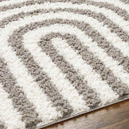 Toshiba Modern Ivory/Dark Brown Area Rug