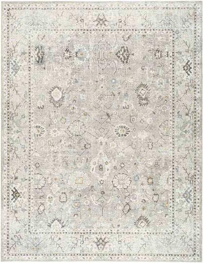 Davina Traditional Light Gray Area Rug - Becki Owens x Livabliss