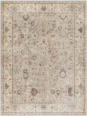 Davina Traditional Camel Area Rug - Becki Owens x Livabliss