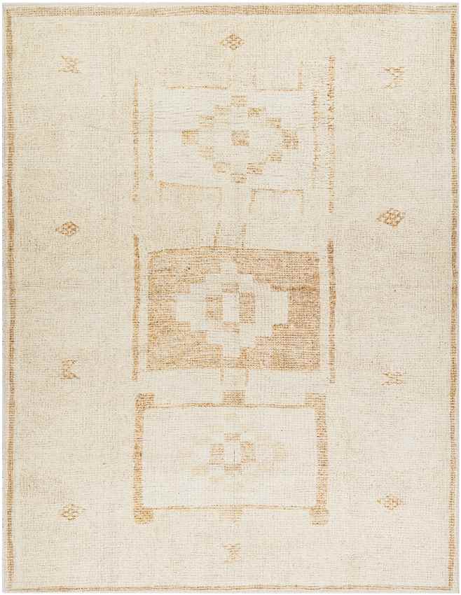 Solana Global Apricot Area Rug - Becki Owens x Livabliss