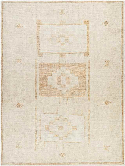 Solana Global Apricot Area Rug - Becki Owens x Livabliss