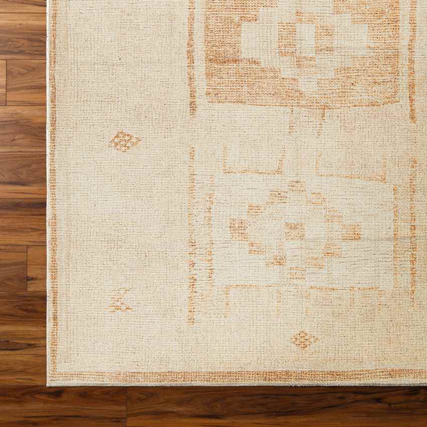 Solana Global Apricot Area Rug - Becki Owens x Livabliss