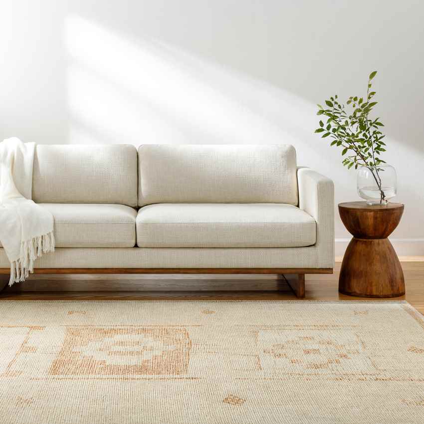 Solana Global Apricot Area Rug - Becki Owens x Livabliss