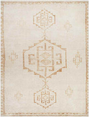 Solana Global Apricot/Beige Area Rug - Becki Owens x Livabliss