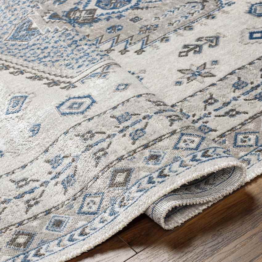 Kenja Traditional Cobalt/Ivory Area Rug