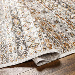 Shardey Rustic Burnt Orange/Ivory Area Rug