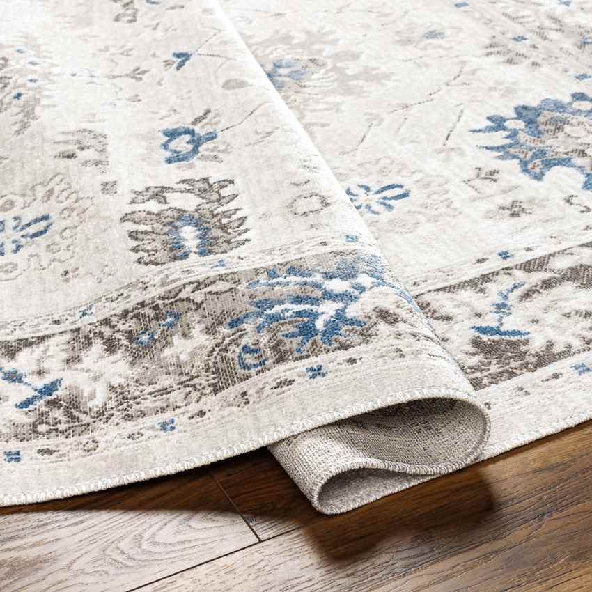 Jarin Traditional Cobalt/Taupe Area Rug