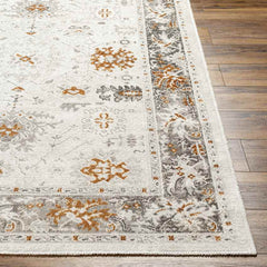 Jarin Traditional Burnt Orange/Taupe Area Rug