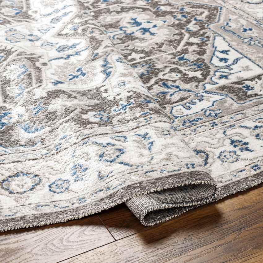 Kortny Traditional Cobalt/Dark Brown Area Rug