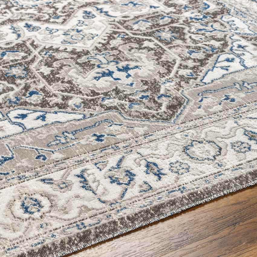 Kortny Traditional Cobalt/Dark Brown Area Rug