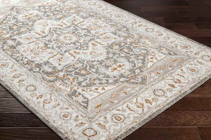 Kortny Traditional Ivory/Dark Brown Area Rug
