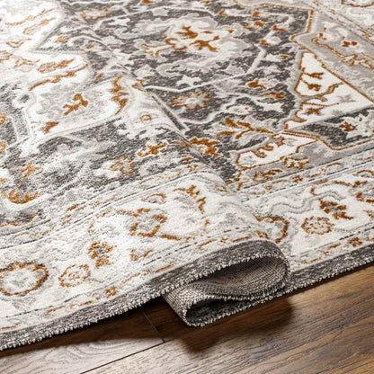 Kortny Traditional Ivory/Dark Brown Area Rug