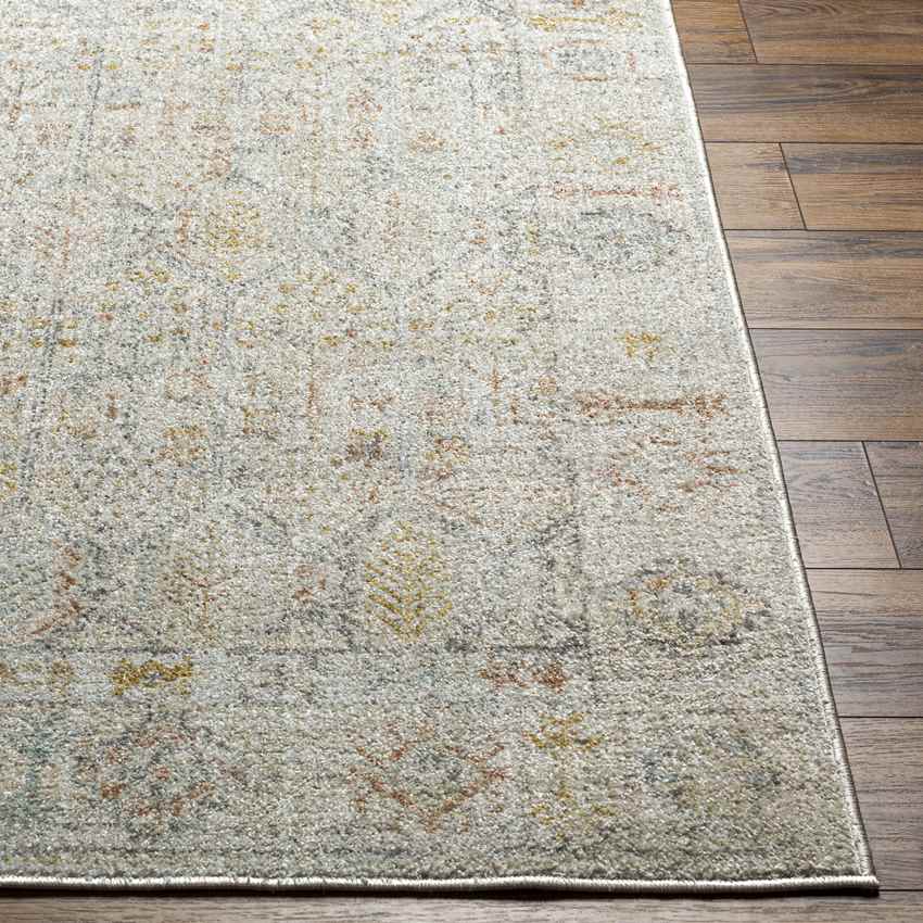 Joylynn Traditional Dusty Sage/Burnt Orange Area Rug