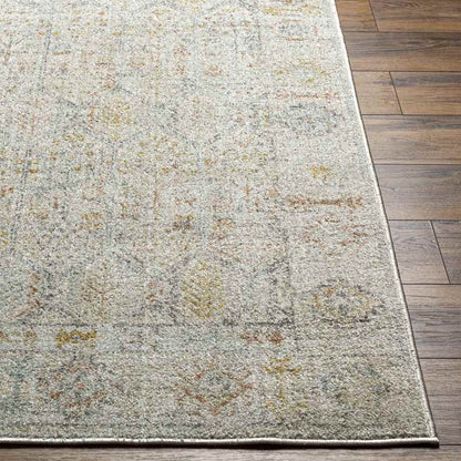Joylynn Traditional Dusty Sage/Burnt Orange Area Rug