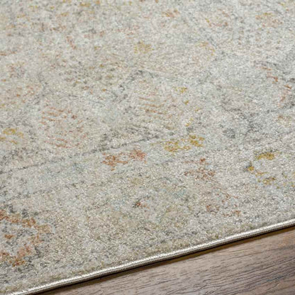 Joylynn Traditional Dusty Sage/Burnt Orange Area Rug