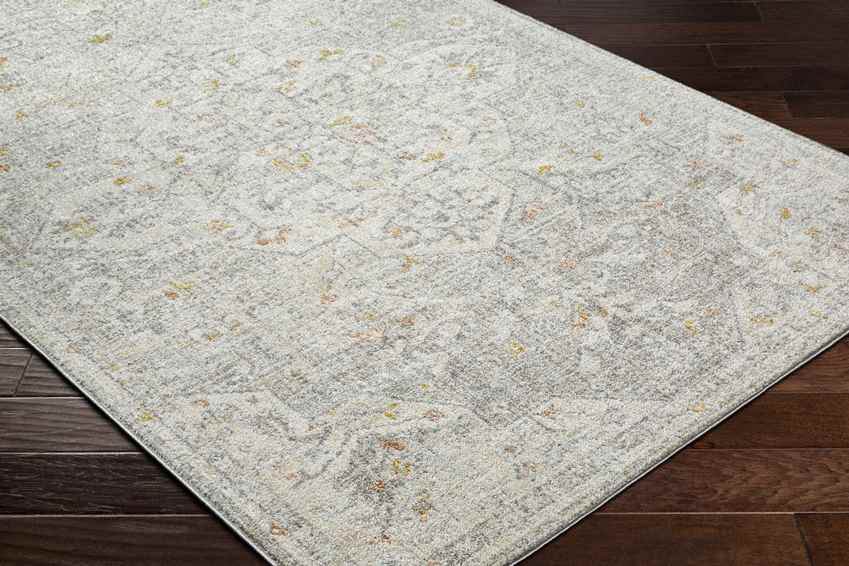 Chiffon Traditional Dusty Sage/Light Beige Area Rug