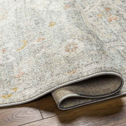 Chiffon Traditional Dusty Sage/Light Beige Area Rug