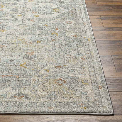 Chiffon Traditional Dusty Sage/Light Beige Area Rug