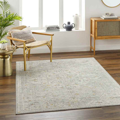 Chiffon Traditional Dusty Sage/Light Beige Area Rug