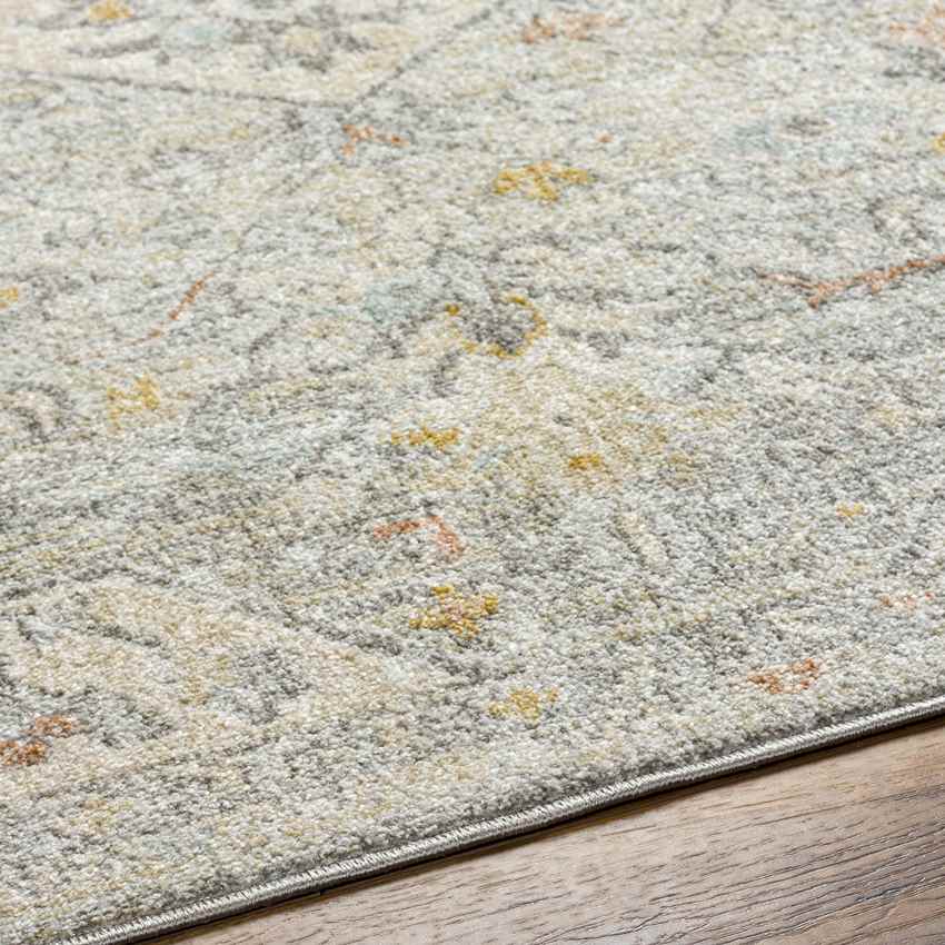 Chiffon Traditional Dusty Sage/Light Beige Area Rug