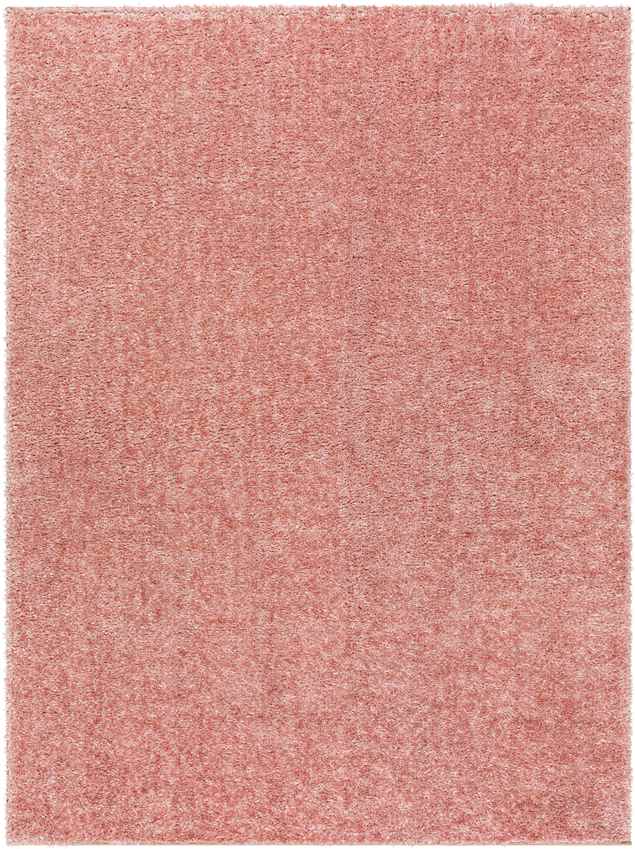 Dalon Modern Coral Area Rug