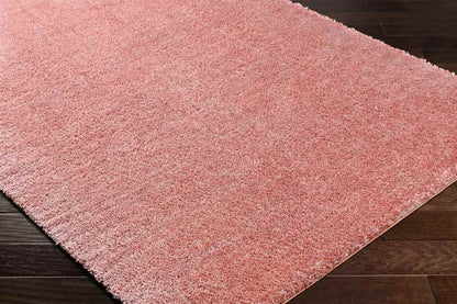 Dalon Modern Coral Area Rug