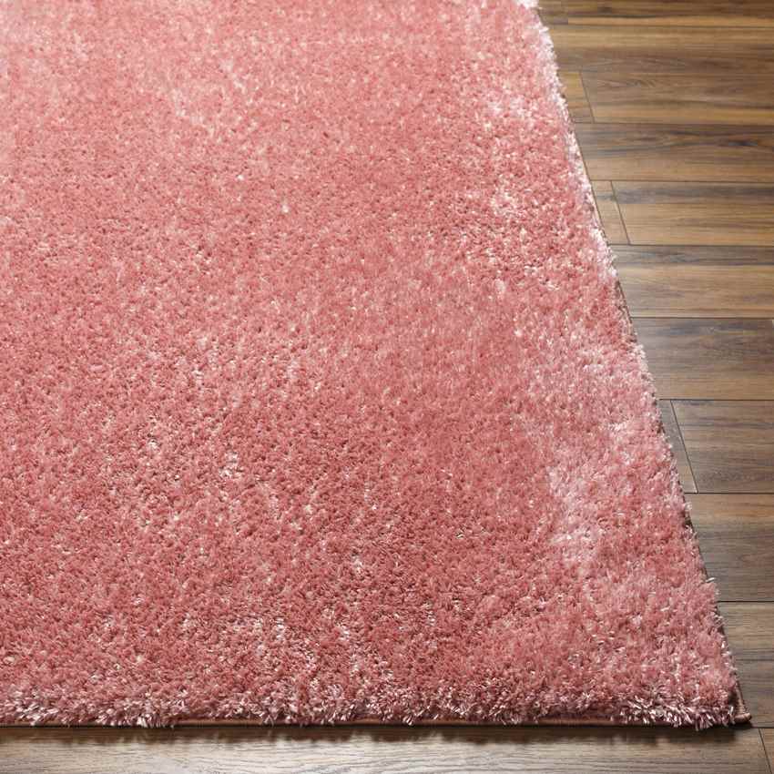 Dalon Modern Coral Area Rug