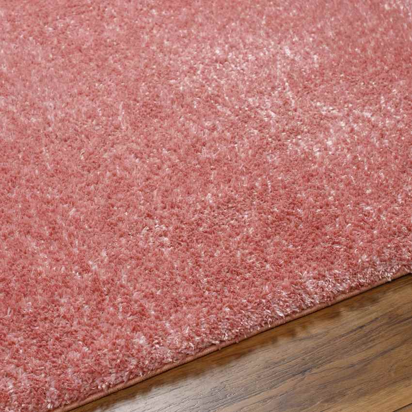 Dalon Modern Coral Area Rug