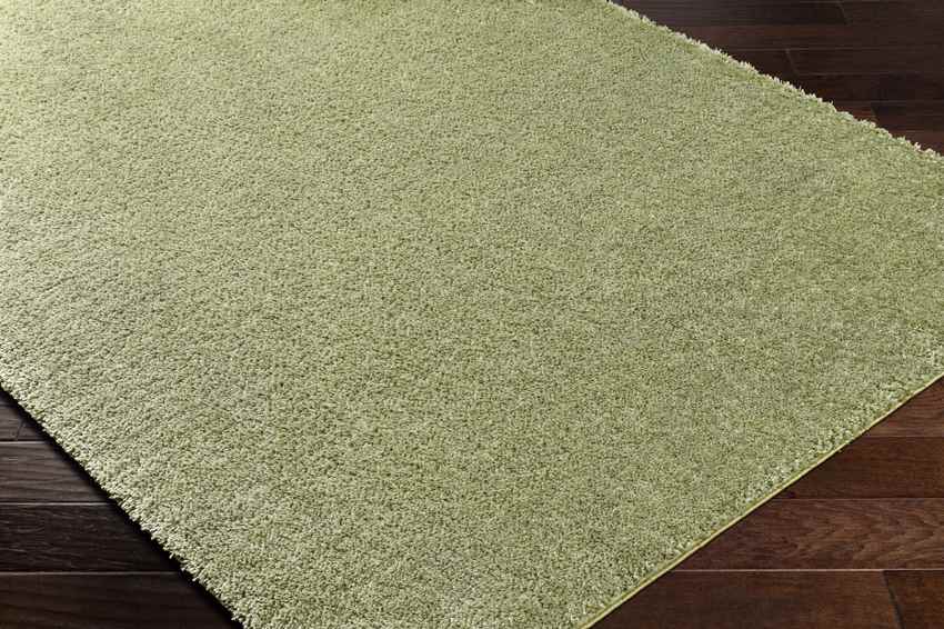 Dalon Modern Moss Green Area Rug