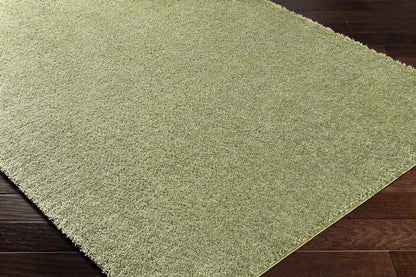 Dalon Modern Moss Green Area Rug