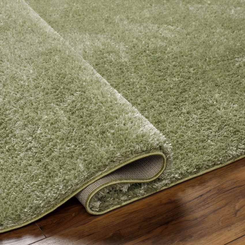 Dalon Modern Moss Green Area Rug