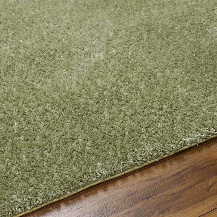 Dalon Modern Moss Green Area Rug