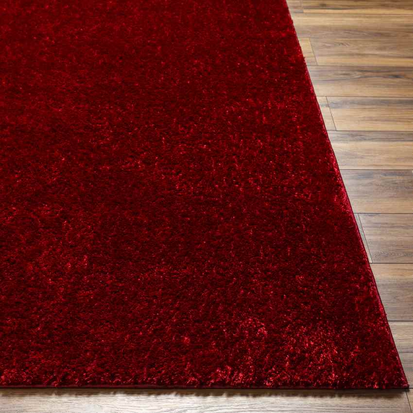 Dalon Modern Cherry Area Rug