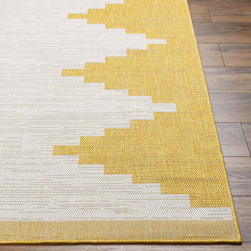 Wolfheze Global Amber/Gray Area Rug