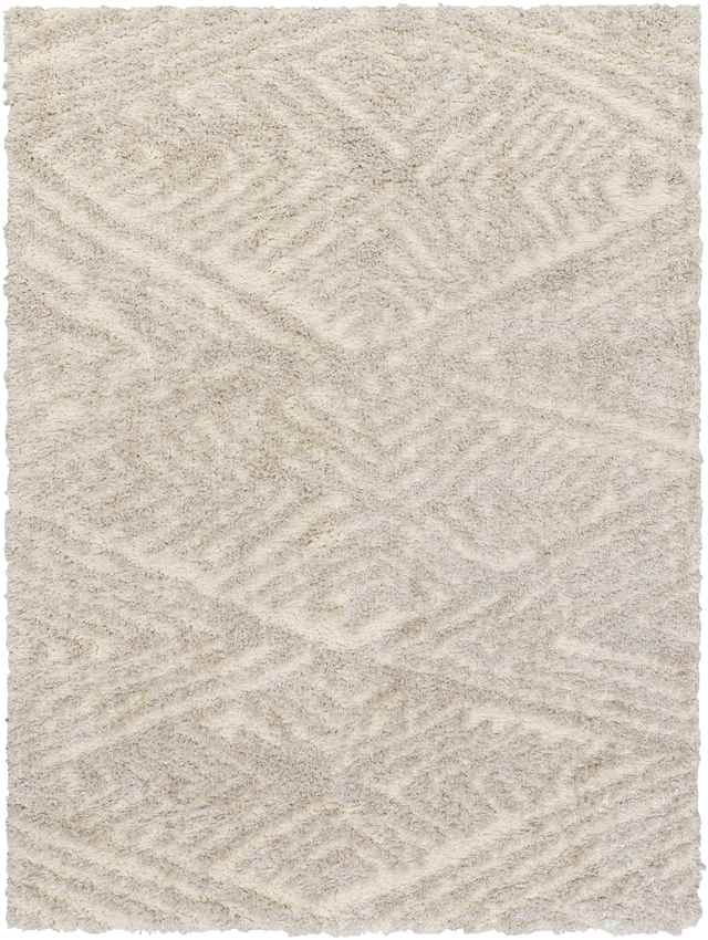 Erol Modern Camel Area Rug