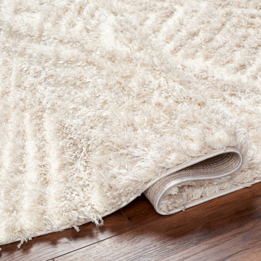 Erol Modern Camel Area Rug