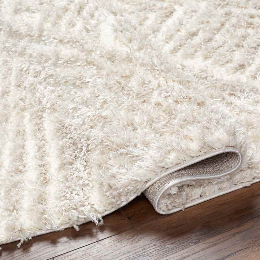 Erol Modern Camel Area Rug