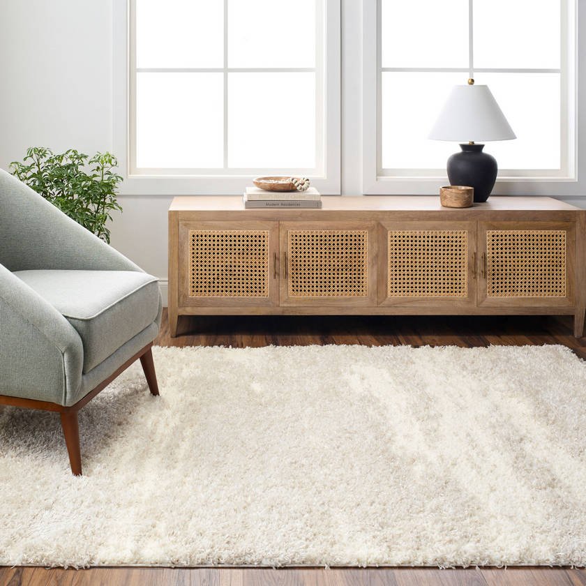Erol Modern Camel Area Rug