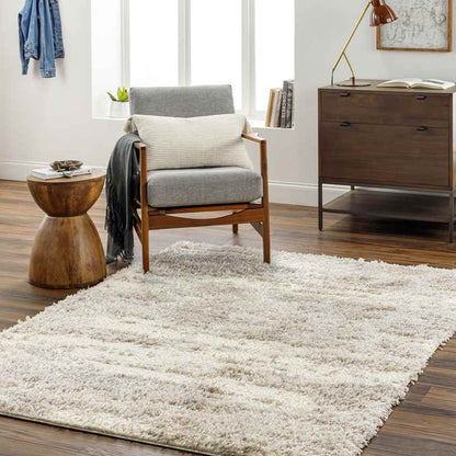 Evetta Modern Camel Area Rug