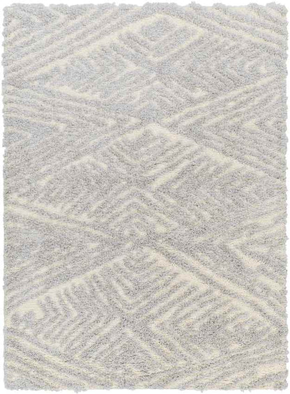 Shadawn Global Gray Area Rug