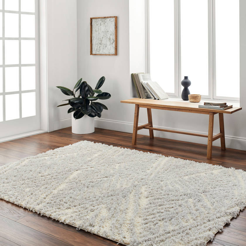 Shadawn Global Gray Area Rug