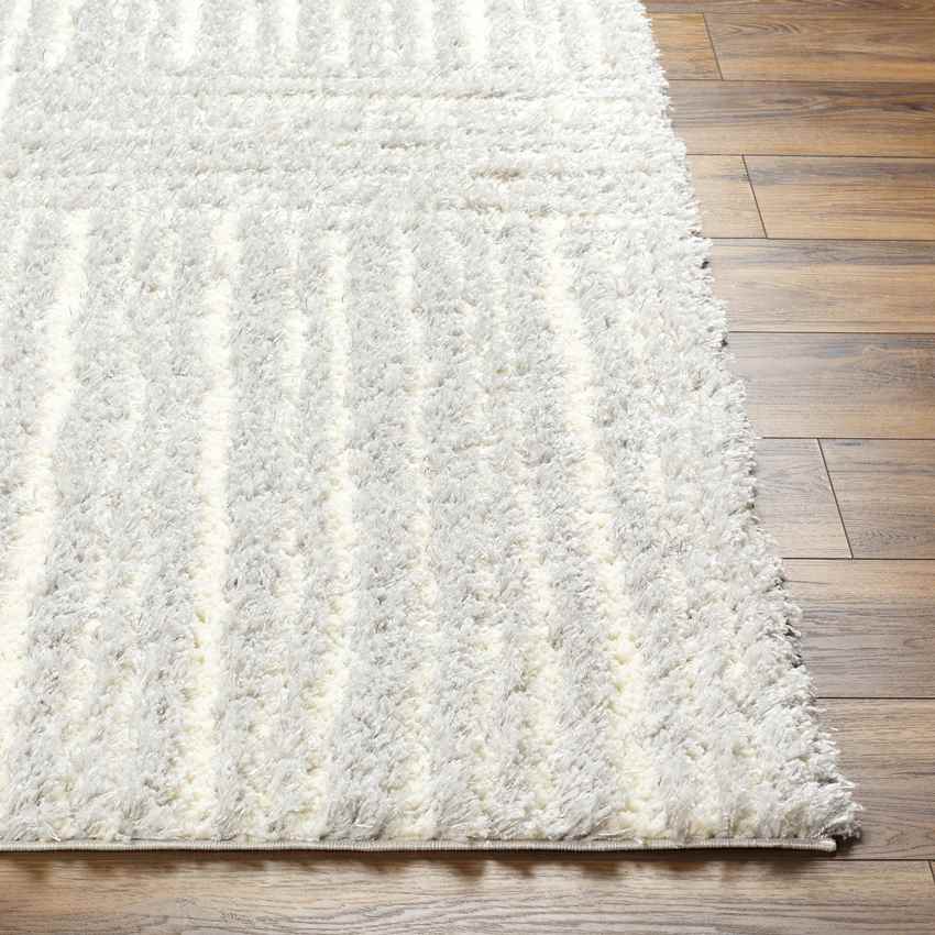 Aubree Modern Light Gray/Cream Area Rug