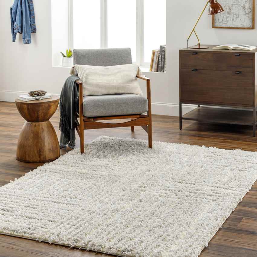 Aubree Modern Light Gray/Cream Area Rug