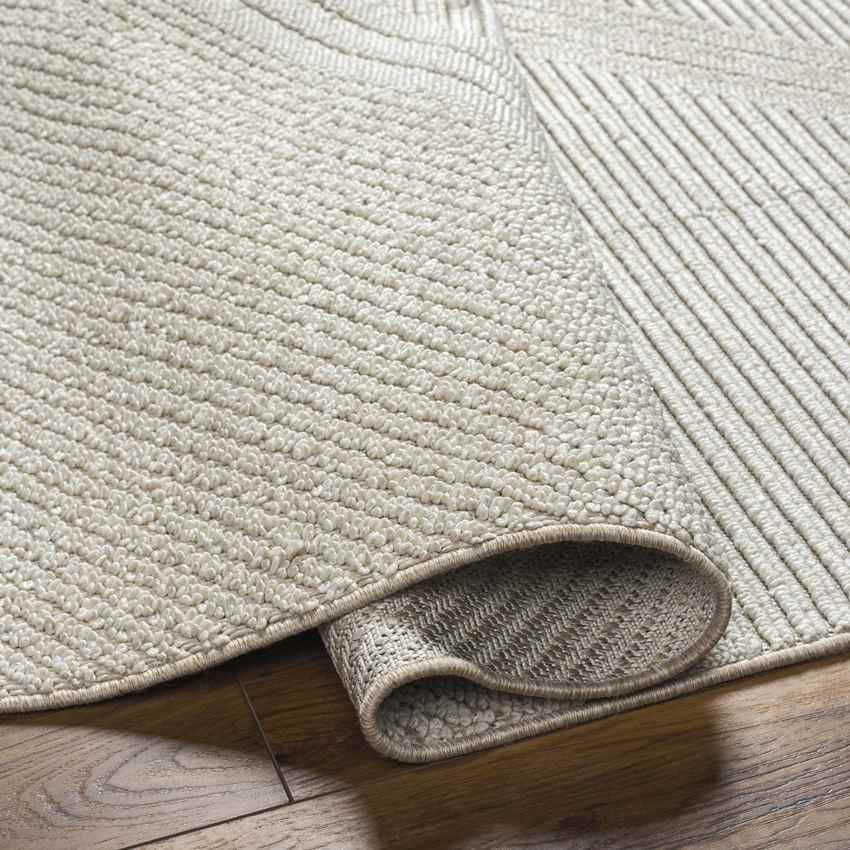Sadaf Modern Beige/Ivory Area Rug